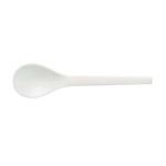 6" PSM spoon