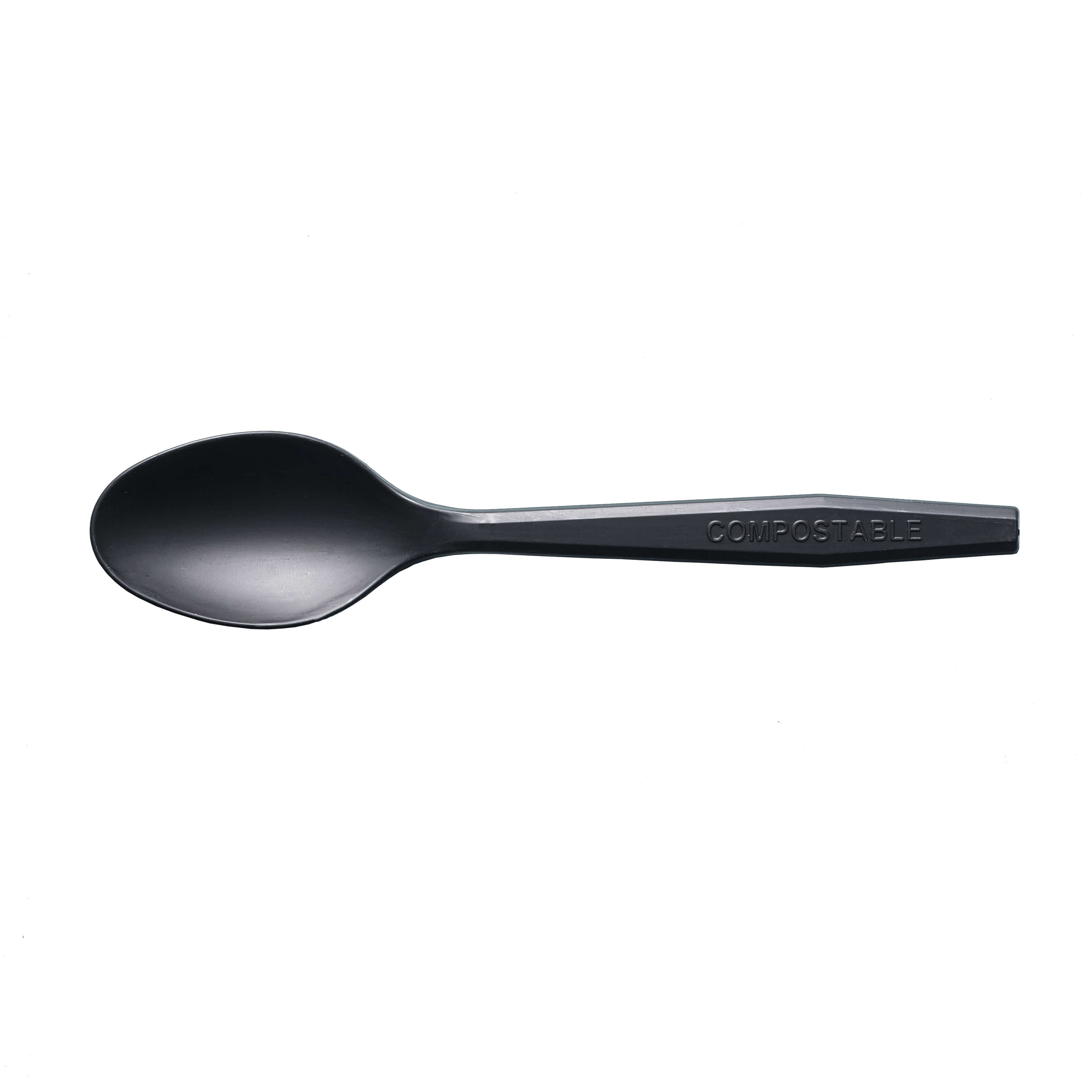 Premium Series CPLA spoon