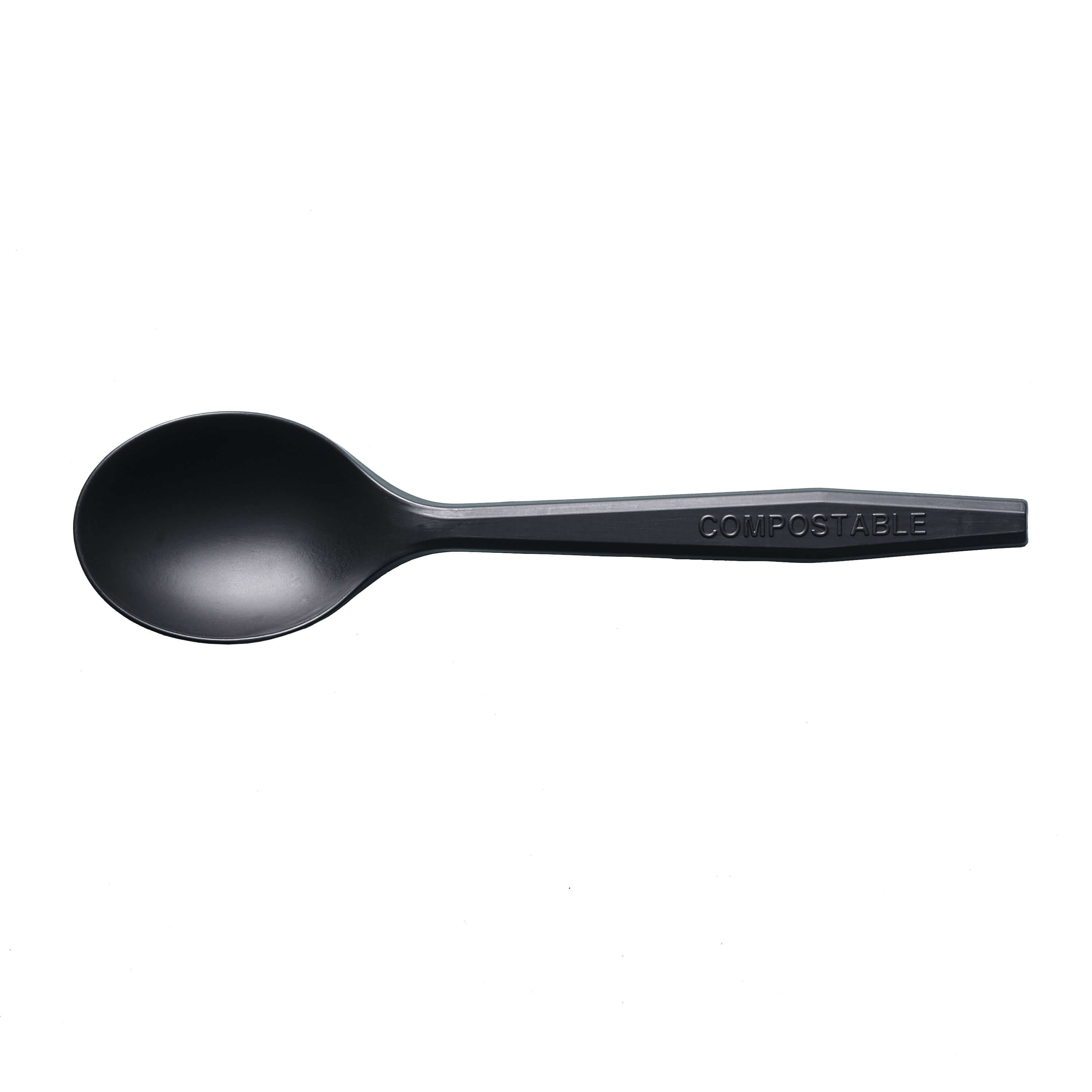 Premium Series CPLA soup spoon